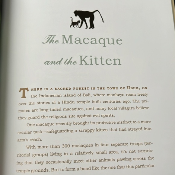 Two Heartwarming Books Humble & Kind and Unlikely Friendships Both EXC! - Picture 16 of 16